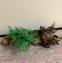 2 Buquê de Chifre de Veado Planta Artificial com Folhagem Exótica e Elegante Decoração Suspensa 2 Buquê de Chifre de Veado Planta Artificial com Folhagem Exótica e Elegante Decoração Suspensa