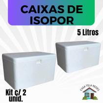 2 Caixas de Isopor EPS 5 litros para Gelo, refrigerante, latas, sorvetes e medicamentos.