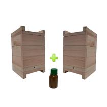 2 Caixas Inpa Abelhas Mandaçaia Com Atrativo 50 ML