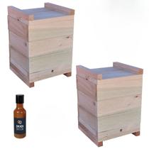 2 Caixas Inpa Abelhas Sem Ferrão 20x20 com Atrativo 50 ML
