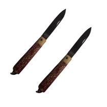 2 Canivete Inox De Bolso Cabo Plástico Trava Segurança 18 cm