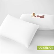 2 Capa de Travesseiro Impermeável Premium 70x50 - Cozzilar