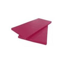 2 COLCHONETES ROSA - ACADEMIA / YOGA / PILATES - 90x40x3cm - DUPLA COSTURA TRAVETADA SC 2 COLCHONETES ROSA - ACADEMIA / YOGA / PILATES - 90x40x3cm - DUPLA COSTURA TRAVETADA SC