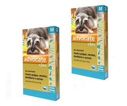 2 Combo Advocate 4 A 10 Kg 6 Pipetas Pulgas Vermes Sarnas