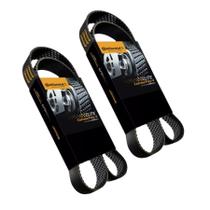 2 Correia Poly V 8pk1540 2 Correia Poly V 8pk1540