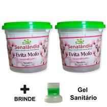 2 Desumidificador Ambiente Secar Antimofo Perfumado Gaveta Evita Mofo Lavanda Neutro 130g + Envio Já 2 Desumidificador Ambiente Secar Antimofo Perfumado Gaveta Evita Mofo Lavanda Neutro 130g + Envio Já
