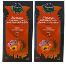 2 Erva Mate Chimarrão FONTE DO MATE MORANGO ANIS FUNCHO 500g 2 Erva Mate Chimarrão FONTE DO MATE MORANGO ANIS FUNCHO 500g