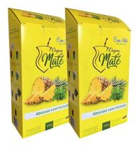 2 Erva Mate Chimarrão ORIGEM DO MATE ABACAXI COM HORTELÃ