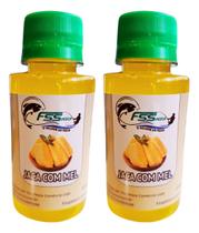 2 Essência Atrativo Para Pesca Jaca Com Mel Isca Massa Ração 2 Essência Atrativo Para Pesca Jaca Com Mel Isca Massa Ração