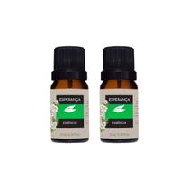2 Essências Aromáticas Casa Para Aromatizador 20ml