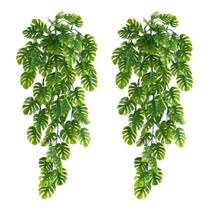 2 Folhagem pendente folhas costela de adão suculenta verde