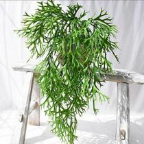 2 Folhagem Permanente Suculentas 65cm Verde Realista