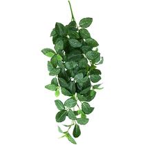 2 Folhagem Verde de Vaso Fitônia Realista 65cm De pendurar 2 Folhagem Verde de Vaso Fitônia Realista 65cm De pendurar