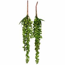 2 Folhagem Verde Planta Jardim Vertical Suculenta Real