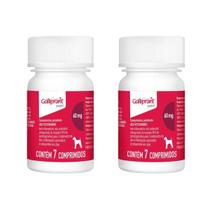 2 Galliprant 60mg Anti-inflamatório Elanco Cães 7 Comp. 2 Galliprant 60mg Anti-inflamatório Elanco Cães 7 Comp.