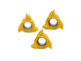 2 Inserto Rosca Externa R166 16 60+01 Pastilha Rosca Interna