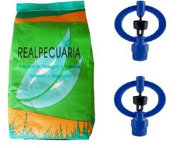 2 kg de sementes de grama batatais mais 2 aspersor p5 2 kg de sementes de grama batatais mais 2 aspersor p5
