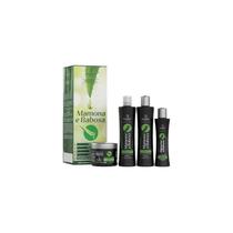 2 Kits Capilar Profissional Mamona E Babosa Bio Instinto