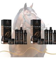 2 Kits Capilares Bio Instinto Cavalo De Raça Nutrição Forte