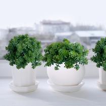 2 maços mini folhagem de suculentas 6 hastes cada planta artificial para vasos arranjo artesanato