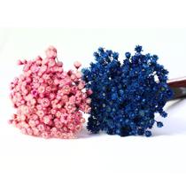 2 Maços Sempre Vivas Desidratadas Cores Selecionadas