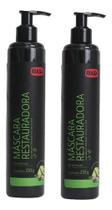 2 Mascara Restauradora Ibasa Pet 230 Gr - Envio Imediato 2 Mascara Restauradora Ibasa Pet 230 Gr - Envio Imediato