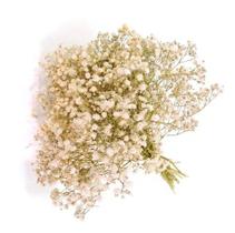 2 Mini Buquês De Gypso Mosquitinho I Flores Desidratadas