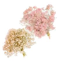 2 Mini Buquês De Gypso Mosquitinho I Flores Desidratadas