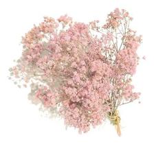 2 Mini Buques De Gypso Mosquitinho I Flores Desidratadas Rosa