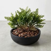 2 Mini Buquês de Samambaia Artificial 35cm para Decoração de Ambientes e Arranjos 2 Mini Buquês de Samambaia Artificial 35cm para Decoração de Ambientes e Arranjos