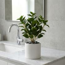 2 Peperômias Artificial Premium 80cm com Galhos Realistas para Vasos e Arranjos 2 Peperômias Artificial Premium 80cm com Galhos Realistas para Vasos e Arranjos