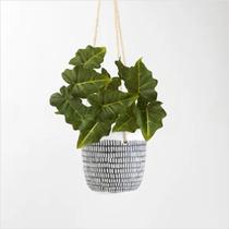 2 Plantas Artificial Caladium Verde 80cm Para Vasos E Arranjos 2 Plantas Artificial Caladium Verde 80cm Para Vasos E Arranjos