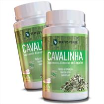 2 Potes Cavalinha Puro Natural Kit 240 Cáps de 500mg