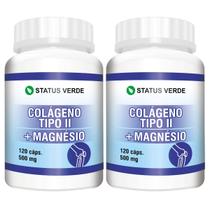 2 Potes Colageno Tipo 2 com Magnésio Kit 240 Cápsulas de 500mg