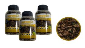 2 Potes com Grilo Desidratado para Aves Peixes Répteis Roedores e Pequenos Primatas 35g Importado