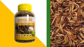 2 Potes com Tenébrio Desidratado para Aves Peixes Répteis Roedores e Pequenos Primatas 35g Importado