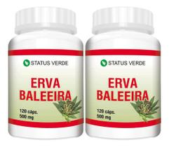2 Potes Erva Baleeira Pura Natural Kit 240 cápsulas de 500mg 2 Potes Erva Baleeira Pura Natural Kit 240 cápsulas de 500mg