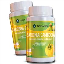 2 Potes Garcinia Cambogia Pura Kit 240 Cáps