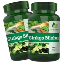 2 Potes Ginkgo Biloba Natural 100% Puro Kit 240 Cáps - Fonte Verde 2 Potes Ginkgo Biloba Natural 100% Puro Kit 240 Cáps - Fonte Verde