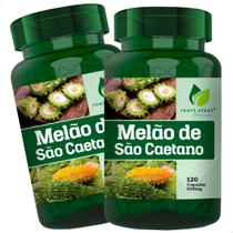 2 Potes Melao Sao Caetano Puro 500mg Kit 240 Cáps Fonte Verde 2 Potes Melao Sao Caetano Puro 500mg Kit 240 Cáps Fonte Verde