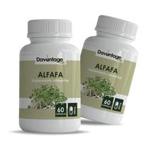 2 Potes Superalimento de Alfafa 120 Cápsulas 500mg 2 Potes Superalimento de Alfafa 120 Cápsulas 500mg