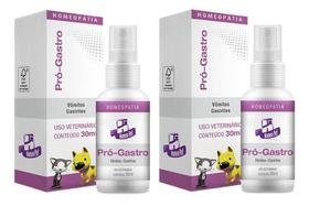 2 Pro Gastro Terapia P/ Gastrites Homeopet 30ml Cães E Gatos