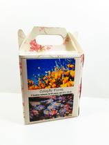 2 Quebra-Cabeça Cognitivo Reabilitação Idosos Flores 60 pc