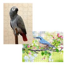 2 Quebra-Cabeças Inclusivos 40 peças Aves Belas para Mentes Inteligentes 2 Quebra-Cabeças Inclusivos 40 peças Aves Belas para Mentes Inteligentes