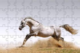 2 Quebra-Cabeças Inclusivos 60 Peças Cavalos Mentes