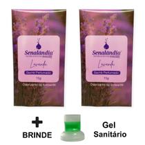 2 Sachê Perfumado Gaveta Armário Cheirinho Lavanda Roupa Meia Calcinha Cueca Senalândia - Envio Já