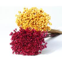 2 Sempre Viva Florzinha Marsala e Mostarda Flor Desidratada