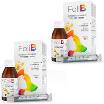2 Suplemento Vitamínico Foli B Complexo B Ácido Fólico para Cães e Gatos 30ml com Seringa Avert