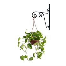 2 Suporte De Vaso Colonial Em Aço Para Pendurar Vasos Planta Parede 36cm X 24cm 2 Suporte De Vaso Colonial Em Aço Para Pendurar Vasos Planta Parede 36cm X 24cm