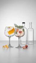 2 Taças Gin Vidro 720ml Transparente 2 Taças Gin Vidro 720ml Transparente
